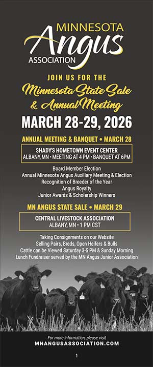 Sale Flyer thumbnail